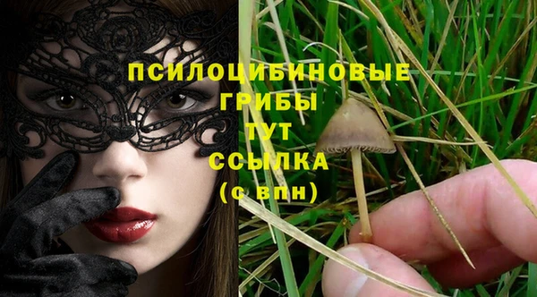 mix Вяземский
