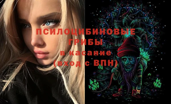 твердый Вязьма