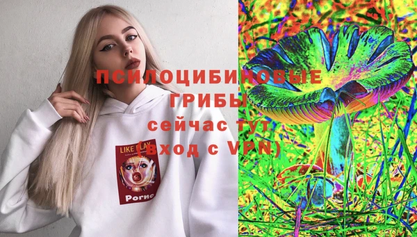 твердый Вязьма