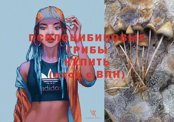 герыч Вязники